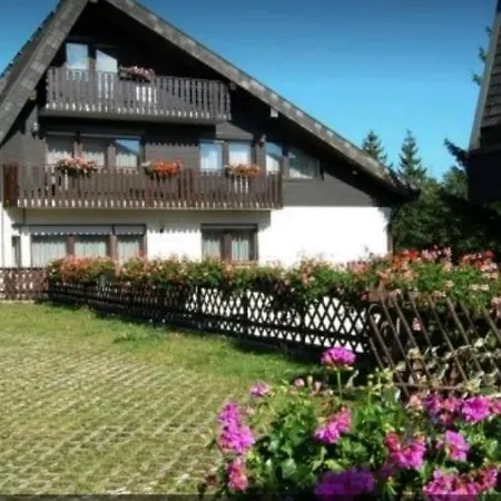 Ferienhaus-schönwald Im Herzen Des Schwarzwaldes 2-zimmer-wohnung Mit Großer Terrasse App 15 Apartment Schönwalde