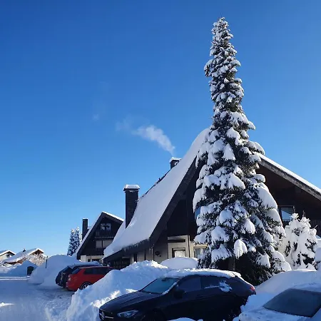 Ferienhaus-schoenwald Im Herzen Des Schwarzwaldes 2-zimmer Mit Terrasse Und Whirlpool App15 *