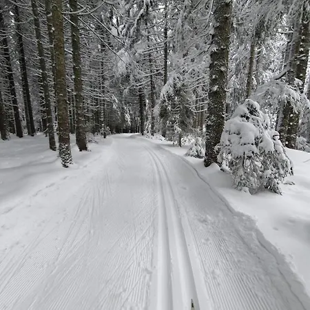 Ferienhaus-schoenwald Im Herzen Des Schwarzwaldes 2-zimmer Mit Terrasse Und Whirlpool App15