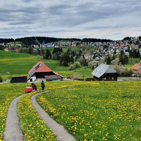 Ferienhaus-schoenwald Im Herzen Des Schwarzwaldes 2-zimmer Mit Terrasse Und Whirlpool App15 * Schönwalde
