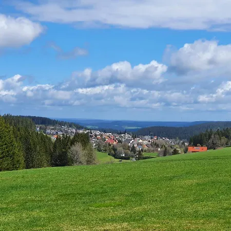 Ferienhaus-schoenwald Im Herzen Des Schwarzwaldes 2-zimmer Mit Terrasse Und Whirlpool App15 דירה Schönwalde