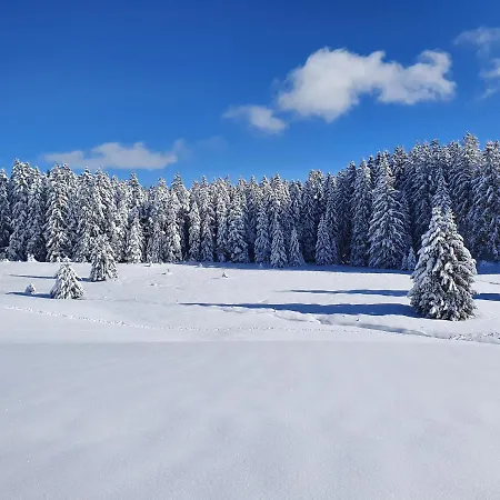 Ferienhaus-schoenwald Im Herzen Des Schwarzwaldes 2-zimmer Mit Terrasse Und Whirlpool App15 Schönwalde