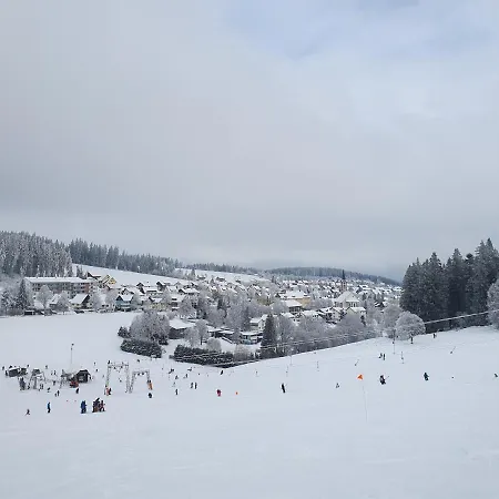 Ferienhaus-schoenwald Im Herzen Des Schwarzwaldes 2-zimmer Mit Terrasse Und Whirlpool App15 דירה