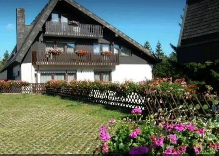 Ferienhaus-schoenwald Im Herzen Des Schwarzwaldes 2-zimmer Mit Terrasse Und Whirlpool App15 شقة Schönwalde