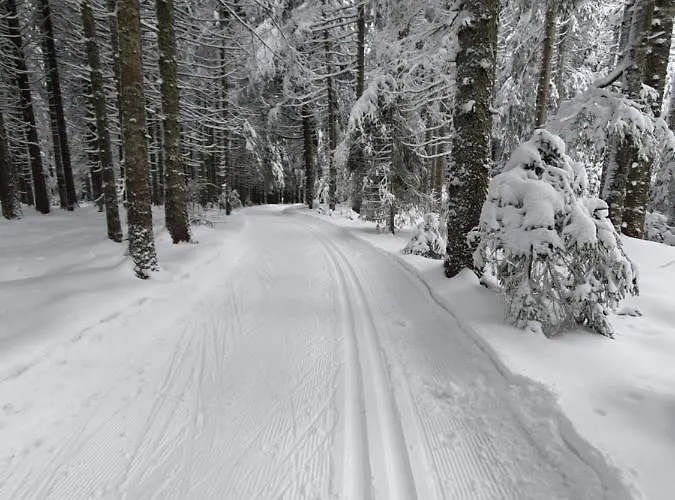 Ferienhaus-schoenwald Im Herzen Des Schwarzwaldes 2-zimmer Mit Terrasse Und Whirlpool App15